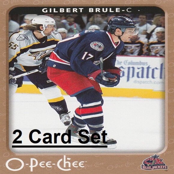 Gilbert Brule - Columbus Blue Jackets NHL Hockey Card Collection - Picture 1 of 3
